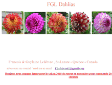 Tablet Screenshot of fgldahlias.com